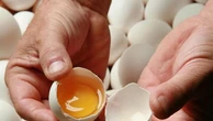 Chi è nato prima, Parisi o la gallina? La provocazione dell’imprenditore dalle uova d’oro