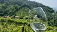 Prosecco superiore Docg Conegliano Valdobbiadene: in un bicchiere il patrimonio delle colline Unesco