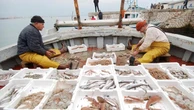 Pescatori, marinai e aste del pesce: le storie dei porti del Lazio