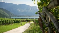 Pedalando tra i vigneti: così l’Alto Adige Südtirol diventa un laboratorio di esperienze