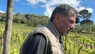 In vigna con Fernando Proietti: "Il Cesanese è un patrimonio, una scommessa sul futuro"