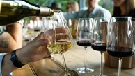 Alle falde del Pollino, i vini sorprendenti di Masseria Falvo 1727