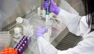 Dai farmaci alla biopsia liquida: come cambierà la cura del tumore al seno