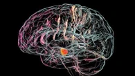 Parkinson, un microscopio ultrasensibile per “guardare” nel cervello