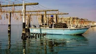 Delta del Po veneto: viaggio in 7 tappe tra i sapori di un territorio anfibio