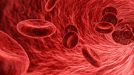 Colesterolo, per farlo scendere basta silenziare un gene