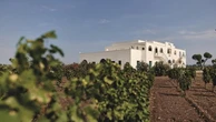Tinazzi e la geografia alternativa del vino: dalle bolle sul lago di Garda ai piwi in Puglia