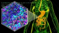 Tumore gastrico, con la ‘combo’ immuno-chemioterapia prima e dopo la chirurgia si vive più a lungo
