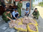 Phát hiện gần 500kg chân gà, đuôi lợn không rõ nguồn gốc trong kho của công ty thực phẩm sạch