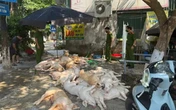 Phát hiện hơn 1 tấn thịt lợn xuất huyết ngoài da, ruồi bâu đầy chuẩn bị lên lò nướng