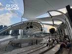 Concert Hà Anh Tuấn tại Singapore trước giờ G: Hàng trăm khán giả Việt đã có mặt, ai cũng xúng xính chụp ảnh check-in!