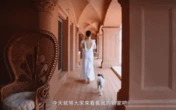 Biệt thự được ví như cung điện, nuôi cả chim công của Hoắc Tư Yến