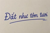 Vì sao gọi là "đắt như tôm tươi"?