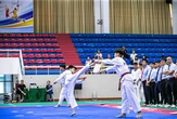 Hà Nội phấn đấu mỗi học sinh tiểu học biết chơi ít nhất một môn thể thao