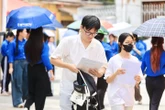 Lần đầu Bộ GD&ĐT công bố điểm sàn lĩnh vực pháp luật, mức tối thiểu 20 điểm