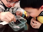 Giáo viên lâu năm chỉ ra: Trẻ có đỗ được đại học top đầu hay không, dấu hiệu đã được tiết lộ ngay từ cấp 1