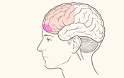Điều quyết định tương lai của trẻ không phải IQ mà là BỘ PHẬN đặc biệt này: 8 cách giáo dục có thể theo con đến tuổi 25