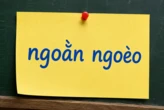 Nhiều người Việt đọc từ này từ nhỏ nhưng đến nay vẫn chưa chuẩn