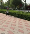 Con trai tiểu học 1 tháng "làm mất" cặp sách 9 lần, mẹ giả vờ tan làm sớm rồi lặng lẽ bám theo và cái kết dở khóc dở cười