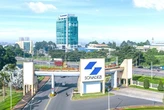 Bắt trưởng Ban kiểm soát Sonadezi