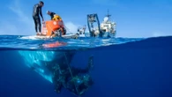 Ngành học tưởng dễ thất nghiệp ở Việt Nam nhưng cơ hội việc làm không hề thiếu, nhân lực chỉ đáp ứng dưới 50% nhu cầu tuyển dụng