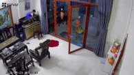 "Tái mặt" phát hiện con nhà hàng xóm trèo vào bể bắt cá: Chủ nhà tiết lộ chuyện phía sau