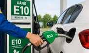 So sánh giá xăng E10 và RON 95
