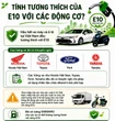 Loại xe nào cần lưu ý khi dùng xăng E10?