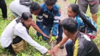 Đang đi dạo gặp cảnh "nổi da gà", người phụ nữ lập tức hô hoán người tới xem