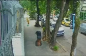 Chỉ đi thêm một bước, người phụ nữ đột ngột biến mất trước mắt mọi người: Đoạn clip ghi lại gây ám ảnh!