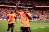 Có thể bạn chưa kết: Kỳ lạ Hà Lan lập kỷ lục 14 trận bất bại qua 3 kỳ World Cup vẫn không vô địch