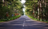 Thông tin về 2 sân bay tại tỉnh sở hữu “Đà Lạt thứ 2”: 1 trên núi và 1 trên biển