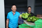 Phát hiện người đàn ông kiếm hơn 31.000 tỷ đồng/năm nhờ kinh doanh rau củ