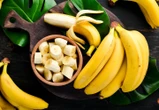 Trả lời được câu này, IQ cực cao: Từ tiếng Việt nào vừa là động vật vừa là thực vật?