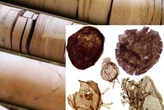 Đào mỏ, loạt sinh vật từ thế giới 1,7 tỉ năm trước lộ diện