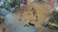 Nhật Bản bất ngờ đóng cửa gần 100 trường học vì một con gấu