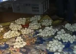 Mở cửa căn phòng trống, nam thanh niên chứng kiến cảnh tượng "không thể tin nổi"
