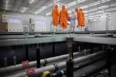 Phát hiện 1 ngành học hot hơn cả bác sĩ, luật sư ở Hàn Quốc - từ điểm B+ lên thẳng A+, có liên quan đến Samsung, SK Hynix