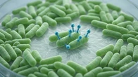 AI tạo thành công 16 virus đầu tiên trên thế giới, đột phá mới thay thế thuốc kháng sinh đã bắt đầu?