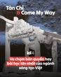Tàn Chỉ và Come My Way: Va chạm bản quyền hay bài học lớn nhất của ngành sáng tạo Việt