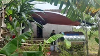 Vào rừng hái cây thuốc, người phụ nữ bị rắn độc cắn tử vong