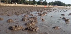 Người đàn ông bị sét đánh tử vong ở bãi biển Đồ Sơn