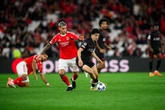 Vì sao thủ gốc Việt 1.300 tỷ dự World Cup 2026 không khoác áo tuyển Việt Nam?