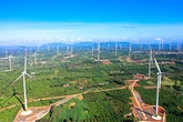 "Siêu công trình" điện gió 16.500 tỷ đồng, lớn bậc nhất Việt Nam