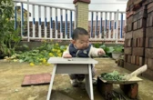 Bí ẩn chàng trai "xấu xí" 25 tuổi cao 66cm và người phụ nữ xinh đẹp chưa từng rời xa