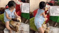 Em bé thoăn thoắt gọt dừa, dân mạng khen "ai bảo khối nghỉ hè chỉ toàn báo thủ"