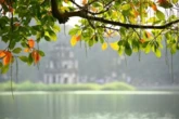 Miền Bắc khả năng đón không khí lạnh "lạ thường" sớm hơn dự kiến, có nơi giảm đột ngột 10 độ C