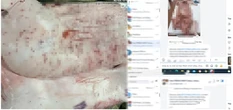 Hình ảnh trong bài tố C.P. Việt Nam bán lợn, gà bệnh: Được chụp tại Hậu Giang từ năm 2022
