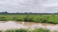 Đang đóng bè cá, 2 người đàn ông bị sét đánh tử vong
