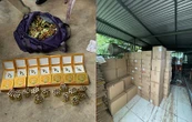 Mức hoa hồng “khủng” của đường dây đa cấp hàng nghìn tỷ, có 9.000 người tham gia